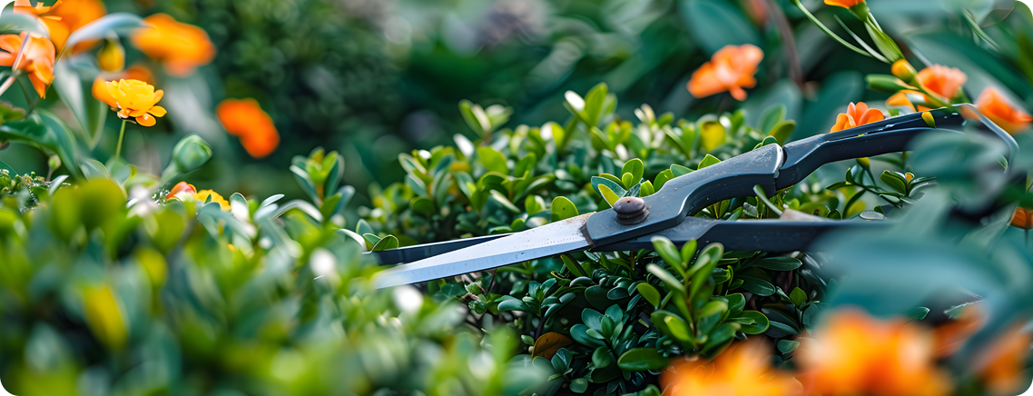 NorthEast Gardening - Landscaping - Waltham, MA